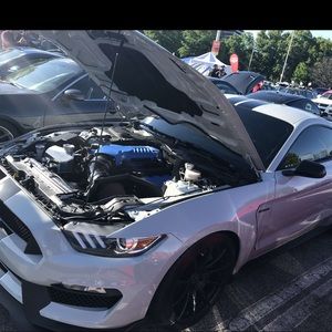 Meet your Posher, Luke